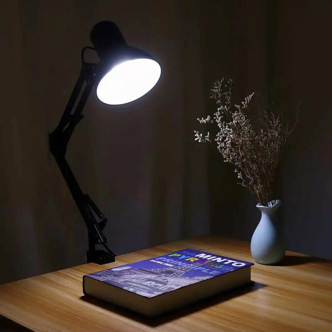 Lampe de bureau avec Pince