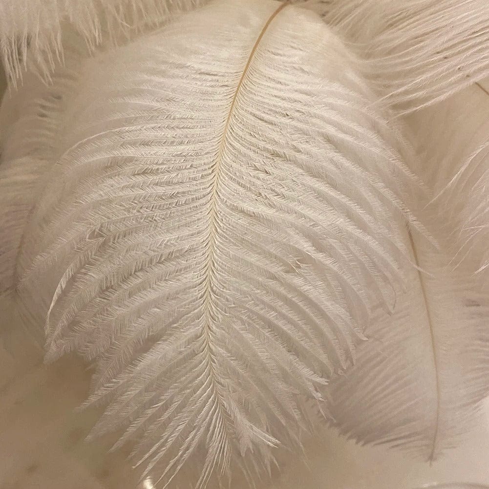 Lampe de Chevet Plume